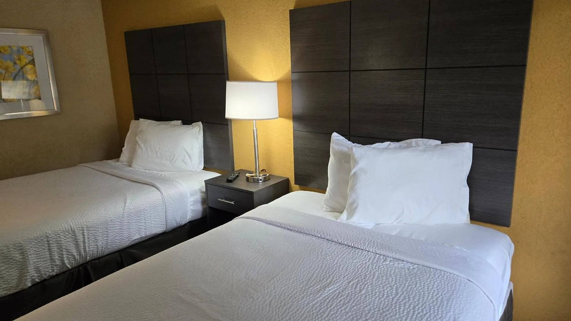 Days Inn By Wyndham Charlotte Northlake USA